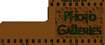 Back to Photo Galleries