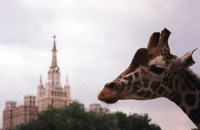 Moscow Zoo